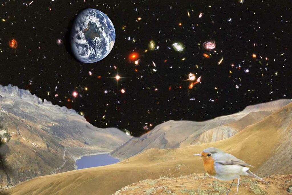 Photo montage 