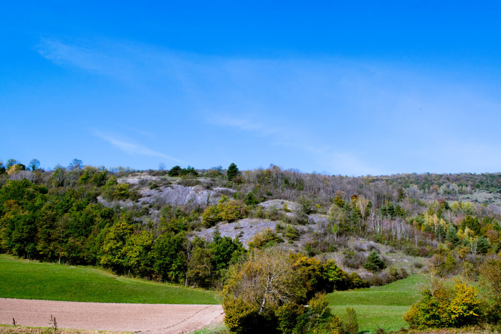 La colline